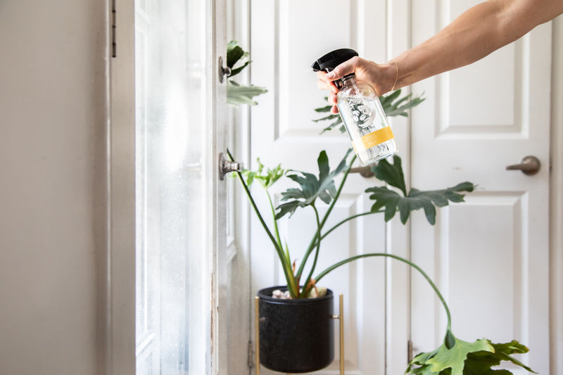 The Bare Home Lemon Tea Tree All Purpose Cleaner (500 ml)