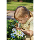 Hape Field Microscope