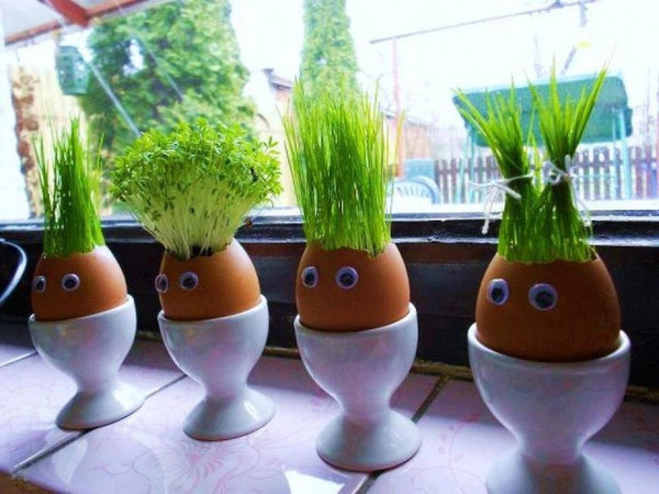 5 Eco-Friendly Crafts to Try this Easter