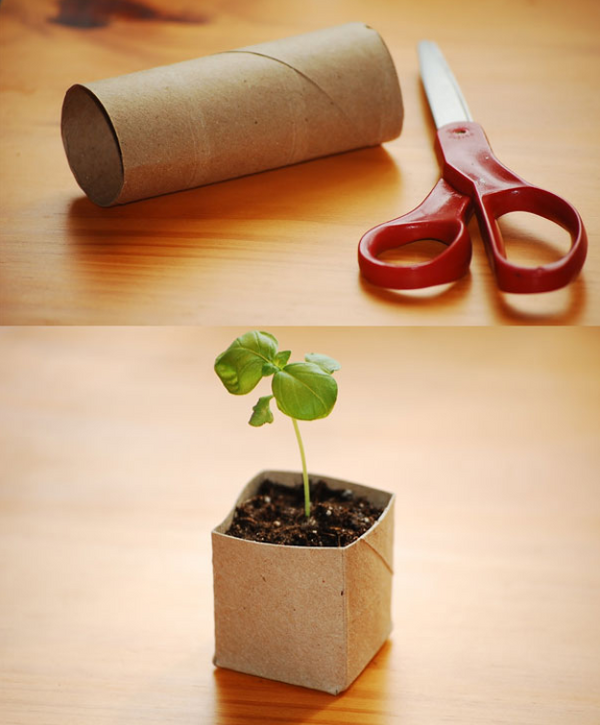 repurposed toilet paper roll planter