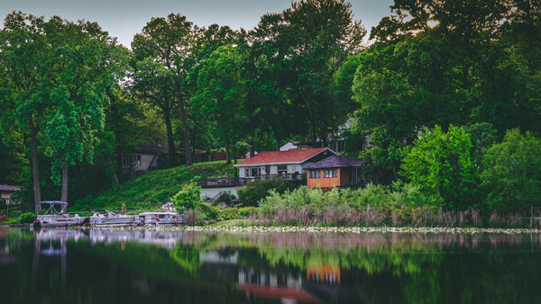 Greening the Cottage | Easy Swaps to Minimize Waste and Environmental Impact
