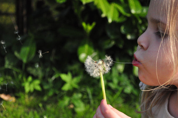Raising Environmentally Conscious Children- 5 Tips & Tricks