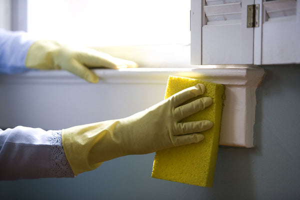 Eco Cleaning Tips from Mrs.Greenway