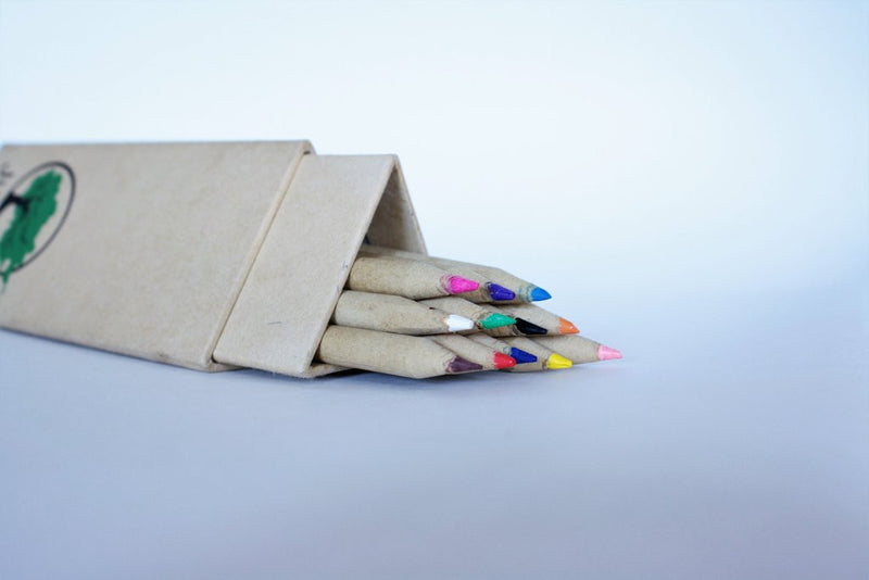 Building a Community Around Pencils : Just Eco