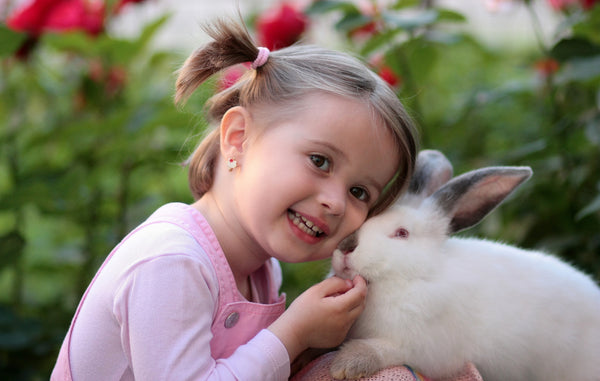 Everything You Need to Know About Natural Dental Care