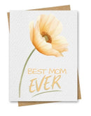 Paper Kuts  - Greeting Cards with Kraft Envelopes - Mother's Day