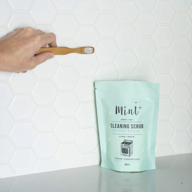 Mint Cleaning Scrub (bag)
