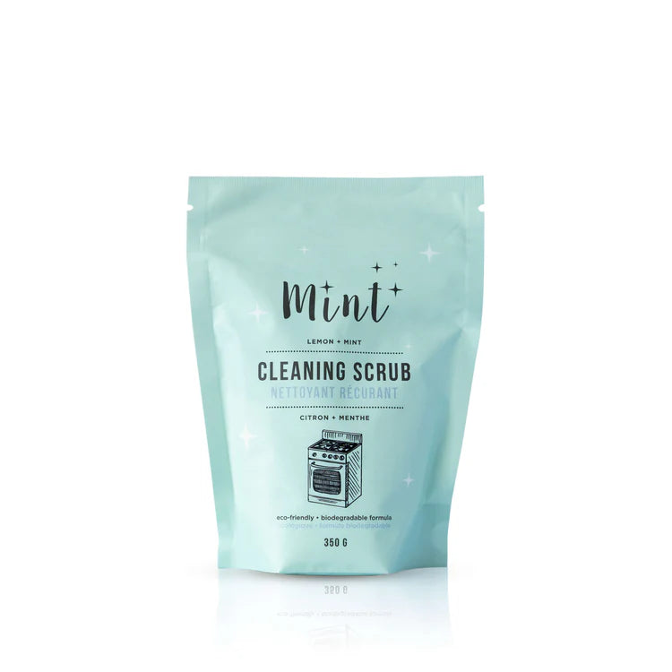 Mint Cleaning Scrub (bag)