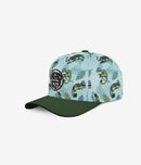 Headster Hats - Curved Brim Snap Back Mister Chameleon