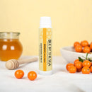 Bee By The Sea Beeswax Lip Balm