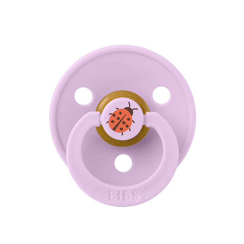 Bibs Pacifier - 2 Pack Studio Collection Ladybug/Violet Sky Mix