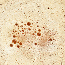 Beck's Broth Protein Chai Latte