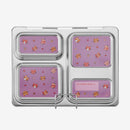 PlanetBox Magnets - Launch