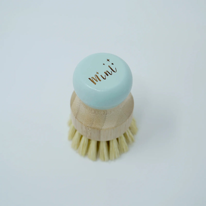 Mint Cleaning Bamboo Dish Brush (Soft Bristles)