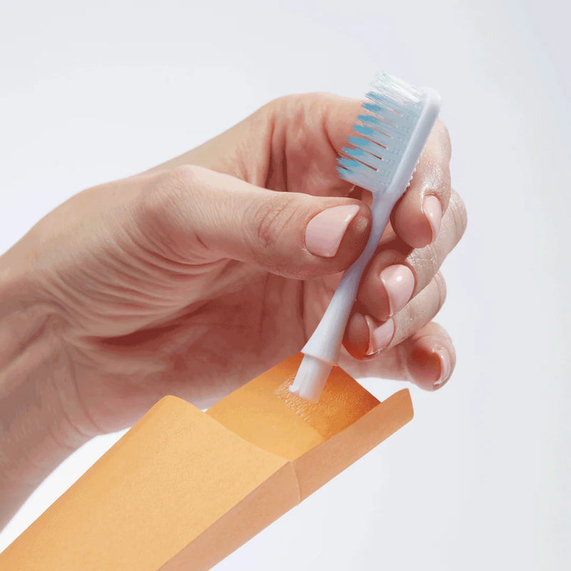 Nada - Adult Replacement Brush Heads