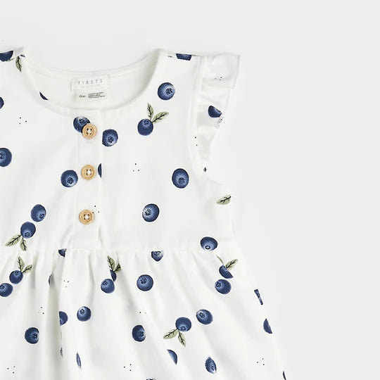 Petit Lem - Blueberry Print Dress Romper