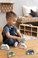 Speedy Monkey Car Display Case