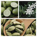 Simmer & Co. Simmer Melt Wax Cubes Be Cozy