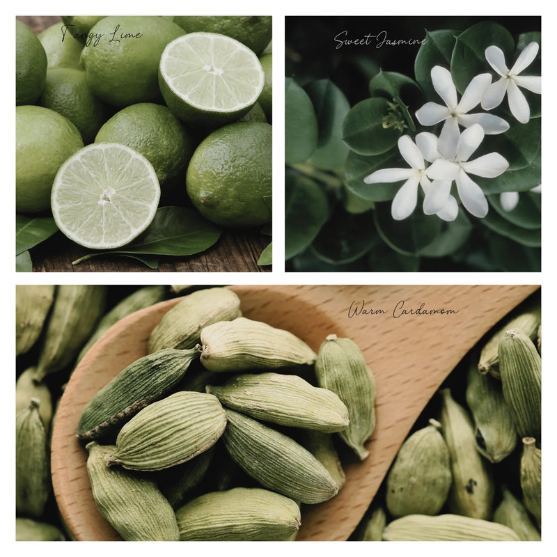 Simmer & Co. Simmer Melt Wax Cubes Be Cozy