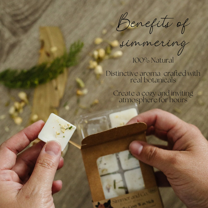 Simmer & Co. Simmer Melt Wax Cubes Be Cozy
