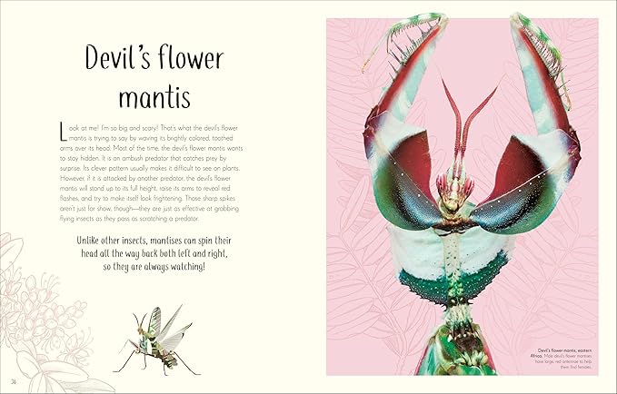 An Anthology of Remarkable Bugs Book