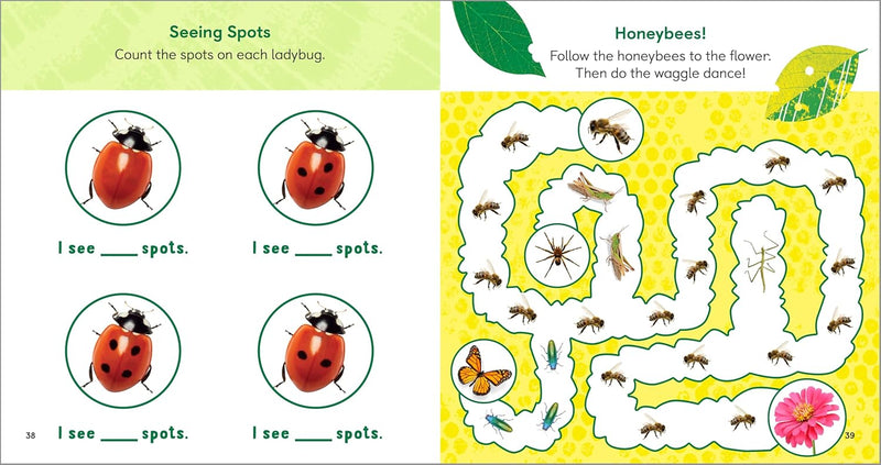 Backyard Bug Book