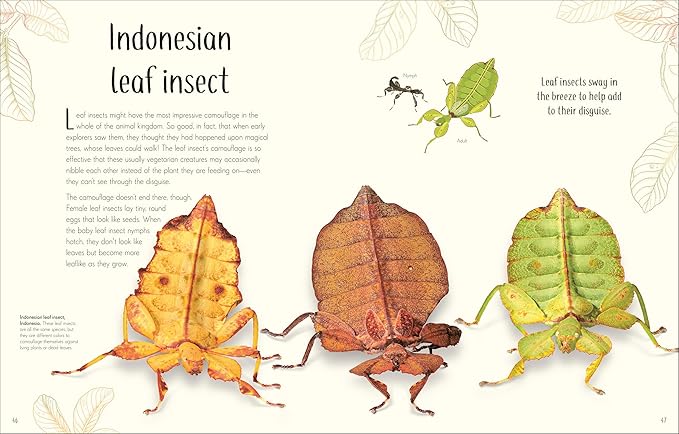 An Anthology of Remarkable Bugs Book