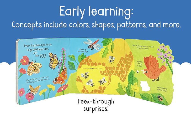 Little Wonders Bugs Board book