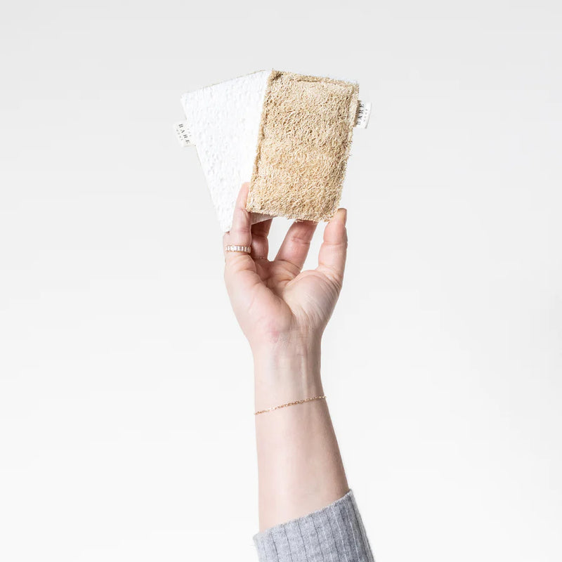 The Bare Home - Cellulose & Loofah Sponges