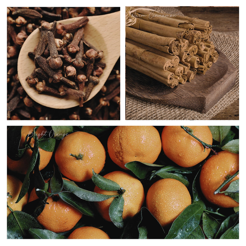 Simmer & Co. Simmer Pot Mix Be Merry & Bright