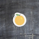 Plantish - Pop Up Sponge