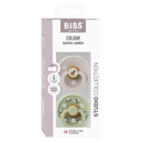 Bibs Pacifier - 2 Pack Studio Collection Bumblebee/Mushroom Mix