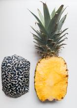 Earthology Organic Beeswax Food Wraps