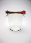 WECK Jars - Mold Jars