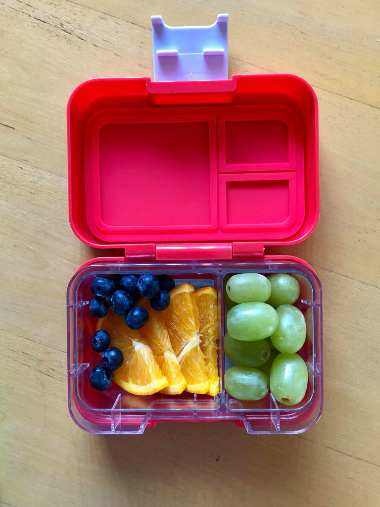 MUNCHBOX - Munchi Snack FINAL SALE