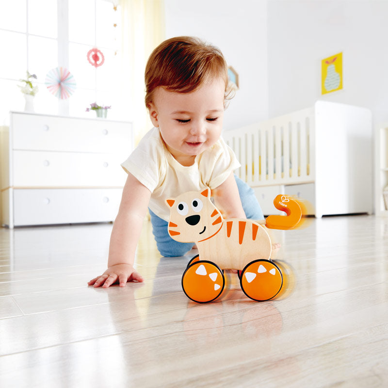 Hape - Dante Push & Go