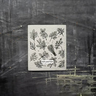 Plantish - Sponge Cloth