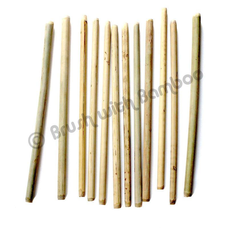 Clean Planetware Bamboo Drinking Straw Single sizes vary