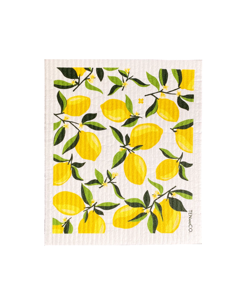 Ten and Co. Sponge Cloth