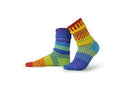 Solmate Adult Crew Socks Rainbow