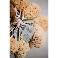 Croll & Denecke - Natural Sea Sponge with Coconut Cord