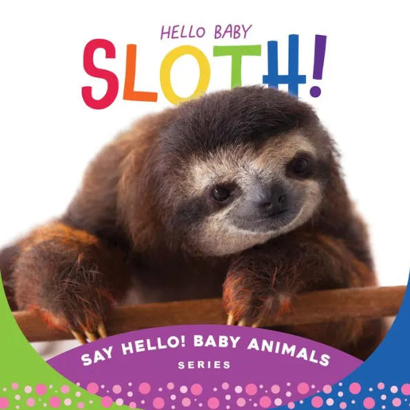 Hello Baby Sloth Board Book - By Beverly Rose