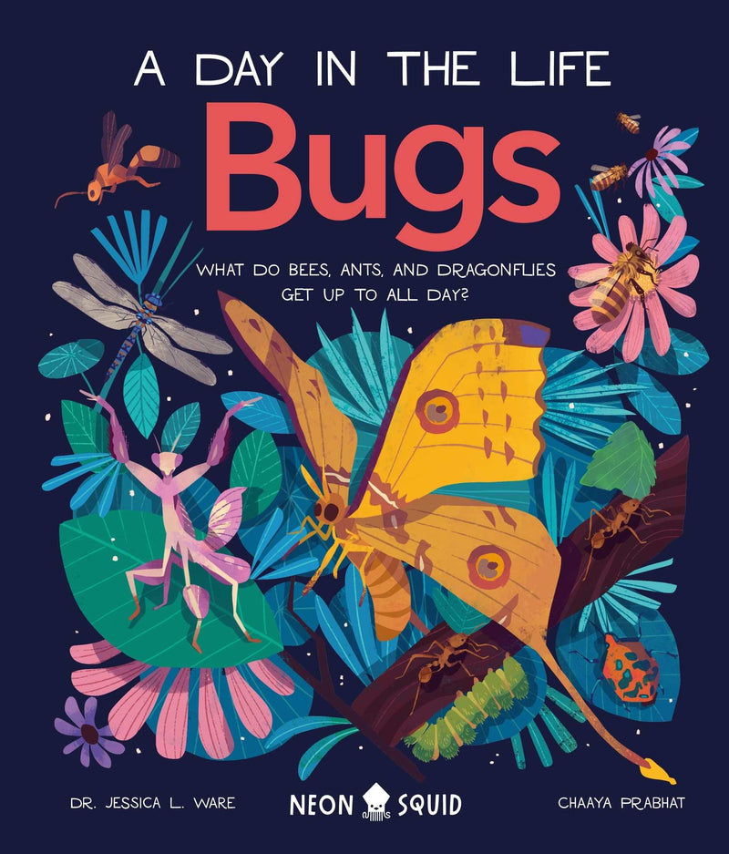 A Day In The Life Bugs Book - By Neon Squid