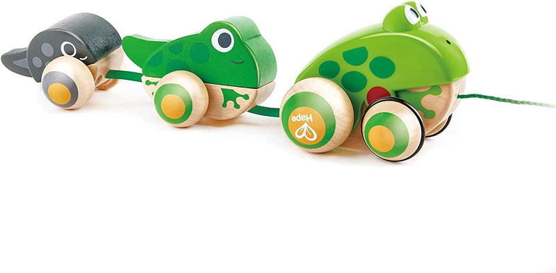 Hape - Pull A-Along Frog Family