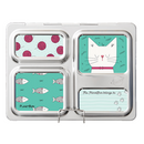 PlanetBox Magnets - Launch