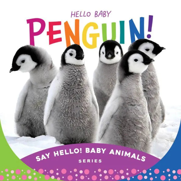Hello Baby Penguin Board Book - By Beverly Rose