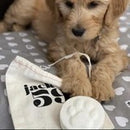 Jack 59 - "Gee Your Dog Smells Terrific" Dog Shampoo Bar