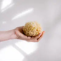Croll & Denecke - Natural Sea Sponge with Coconut Cord