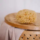 Croll & Denecke - Natural Sea Sponge with Coconut Cord