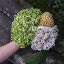 Croll & Denecke - Sisal Body Sponge